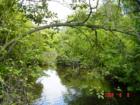 Goodrich Loomis Conservation Area