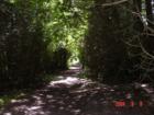 Goodrich Loomis Path