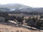 The valley of Twin Pines during the Esperanza Fire 10-27-06