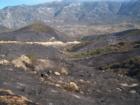 The moonscape of Hwy 243 after the Esperanza Fire 10-27-06