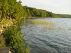 East Shore~Moira Lake