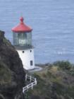 Makapuu Lighthouse is located on a walking path.  Plan to visit the path and the lighthouse when you travel to Oahu.   The path is a gradual incline and is paved all the way to the top.