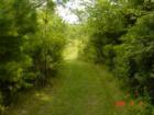 Path to the clearing~Goodrich Loomis