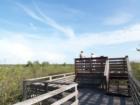 Observation Post at Corkscrew Swamp