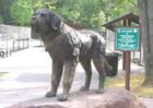 Fullerton Dog Park