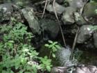 Little waterfalls on Access Road woods
