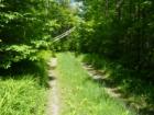 McCharles Road