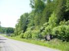 King's Highway #7