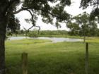 Dale Ranch Property
