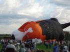 Great Falls Dog Balloon Inflation - 1 of 7