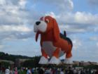 Great Falls Dog Balloon Inflation - 5 of 7