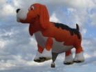 Great Falls Dog Balloon Inflation - 6 of 7