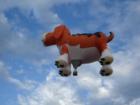 Great Falls Dog Balloon Inflation - 7 of 7