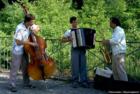 Concerts in the Park