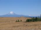  Mt. Adams from High Prairie