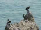 Pismo Beach