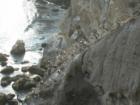 Shell Beach
