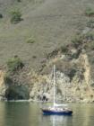 Shell Beach