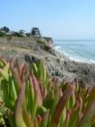 Pismo Beach Cliffs