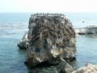 Pelican Heaven