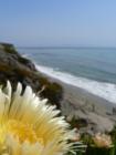 Shore View