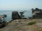 Shoreline