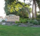Old Orchard Park offers a playground, basketball courts, and picnic tables.