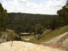 Yes, this is Texas.