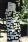 In Memory Of.  By the end of the morning the enormous tree trunk was covered in little white fluttering strips of paper, strips that told the real story of the love and personal dedication of the participants of the Terry Fox Run. 
