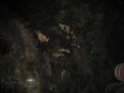 the mold on the walls plays a crucial role in the fermentation process of the wines in these natural caves