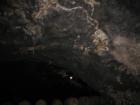 The mold is spongy and thick and hangs down like moss from the ceilings of the caves.  (It doesn't stink though.)