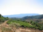 Sonoma Valley and beyond as seen from Moon Mountain