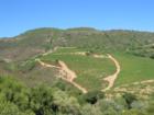 Close of the dynamite block at Moon Mountain Winery