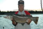 Brown Trout Caught at Wickiup