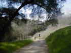 Chino Hills State Park