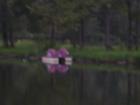 Fort Yargo; Teresa Johnson & Associates; RE/MAX Greater Atlanta; Serving the Metro Area of Atlanta,GA http://www.atlantahomestore.com/