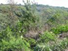 Valley of Pearlridge