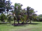 Ar118817438563479_l