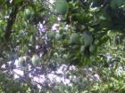 Ar118817441356819_l