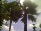 Ar118817443606636_l