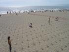 Memorial to our fallen soldiers in Iraq, Santa Monica Beach - Dominic Naidoo, Santa Monica Real Estate Expert