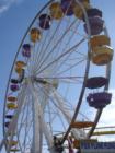 Ferris Wheel, Santa Monica Pier - Dominic Naidoo, Santa Monica Real Estate Expert