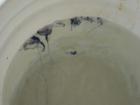 Portuguese Man o' War caught and dropped in a bucket.  Watch out for those stings!