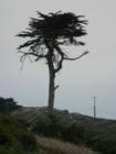 Dillon beach