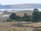 Dillon Beach