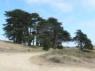 Dillon Beach