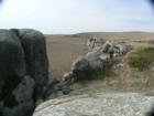 Dillon Beach