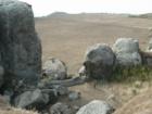 Dillon Beach