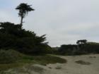 Dillon Beach