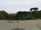 Dillon Beach
